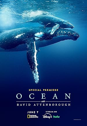 دانلود فیلم Ocean with David Attenborough 2025 بدون سانسور دانلود فیلم Ocean with David Attenborough 2025 بدون سانسور