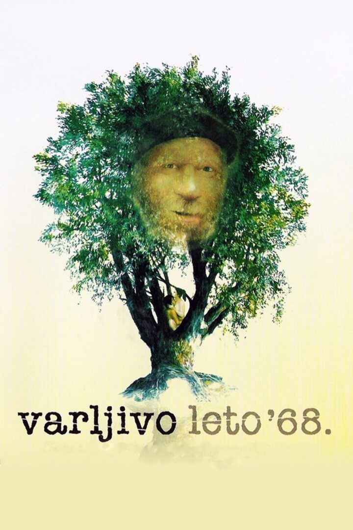 دانلود فیلم The Elusive Summer of ’68 1984 بدون سانسور با پخش آنلاین