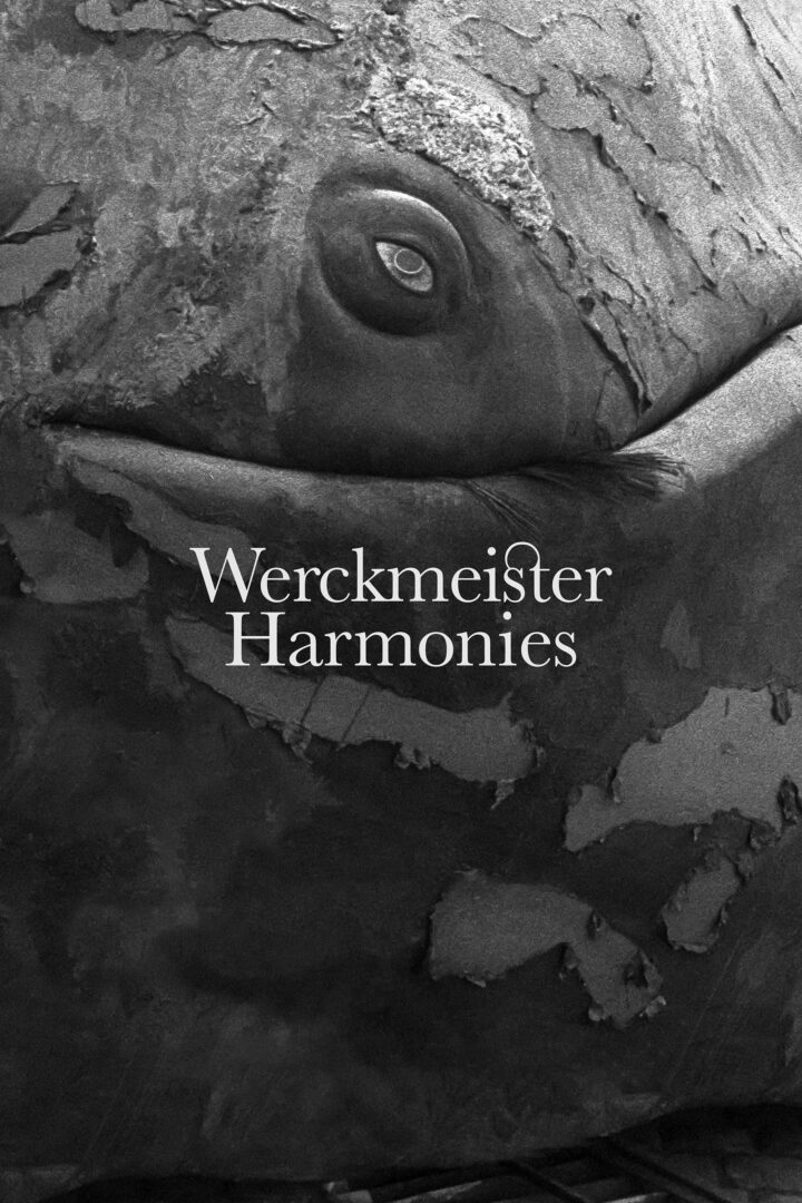 دانلود فیلم Werckmeister Harmonies 2000 بدون سانسور با پخش آنلاین دانلود فیلم Werckmeister Harmonies 2000 بدون سانسور با پخش آنلاین