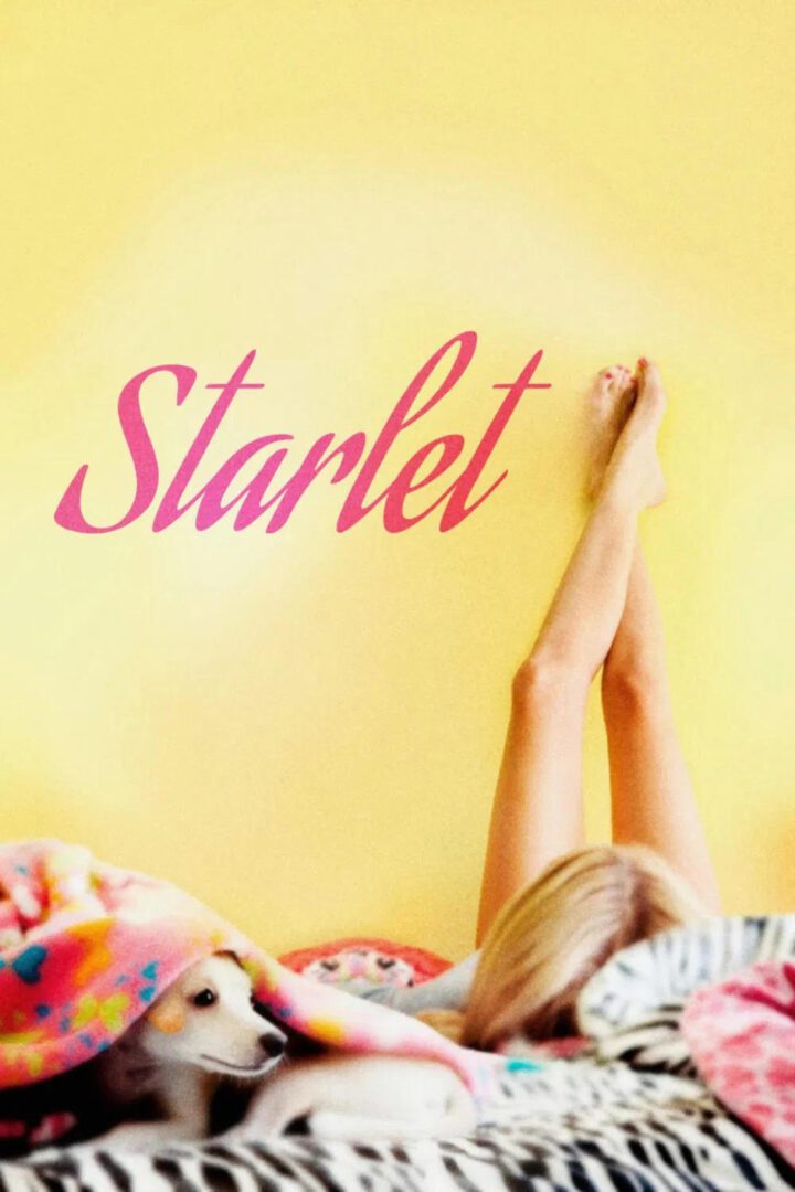 دانلود فیلم Starlet 2012 بدون سانسور با پخش آنلاین دانلود فیلم Starlet 2012 بدون سانسور با پخش آنلاین
