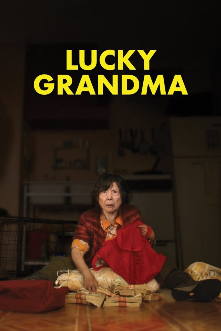 دانلود فیلم Lucky Grandma 2019 بدون سانسور با پخش آنلاین