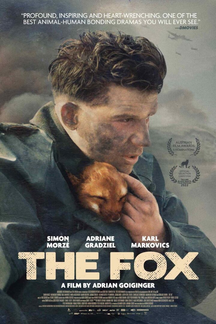 دانلود فیلم The Fox 2022 بدون سانسور با پخش آنلاین دانلود فیلم The Fox 2022 بدون سانسور با پخش آنلاین