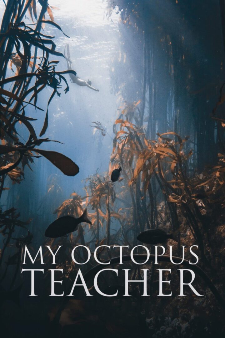 دانلود فیلم My Octopus Teacher 2020 بدون سانسور با پخش آنلاین