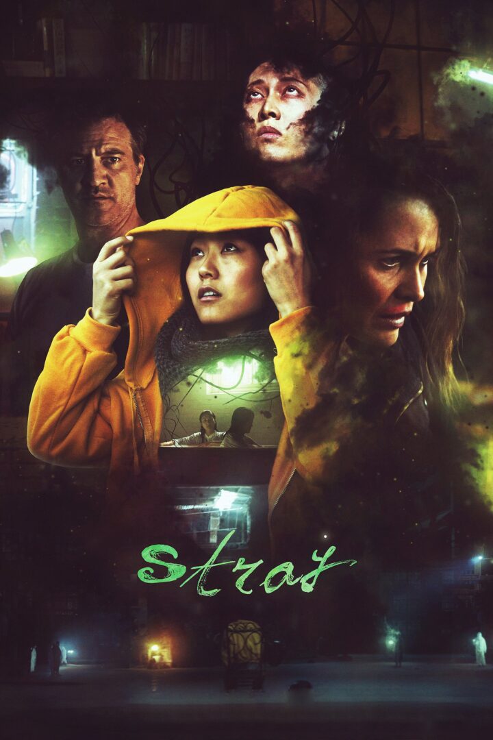 دانلود فیلم Stray 2019 بدون سانسور با پخش آنلاین
