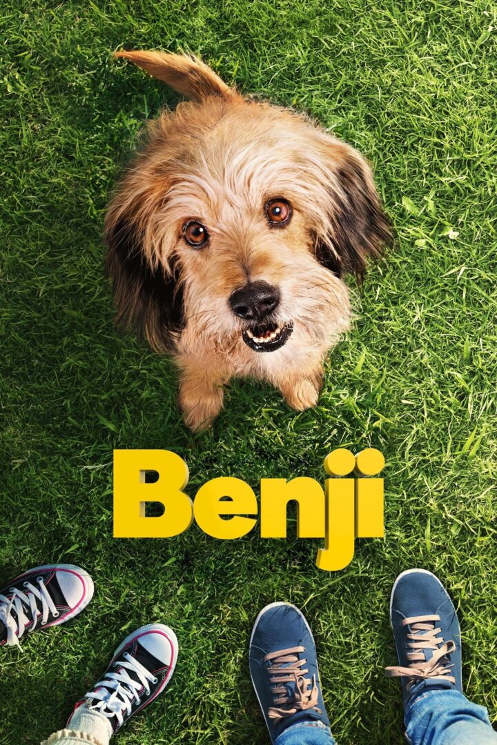 دانلود فیلم Benji 2018 بدون سانسور با پخش آنلاین دانلود فیلم Benji 2018 بدون سانسور با پخش آنلاین
