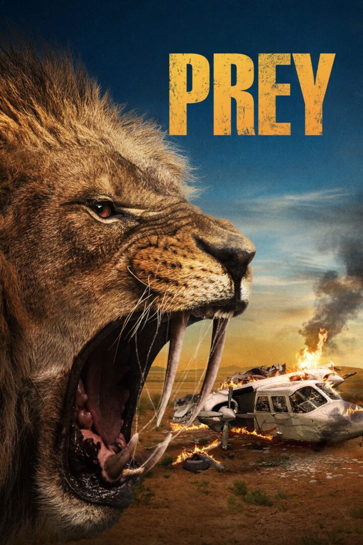 دانلود فیلم Prey 2024 بدون سانسور با پخش آنلاین دانلود فیلم Prey 2024 بدون سانسور با پخش آنلاین