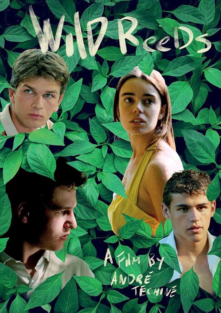دانلود فیلم Wild Reeds 1994 بدون سانسور با پخش آنلاین