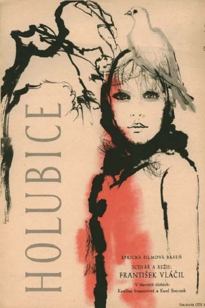 دانلود فیلم The White Dove 1960 بدون سانسور با پخش آنلاین