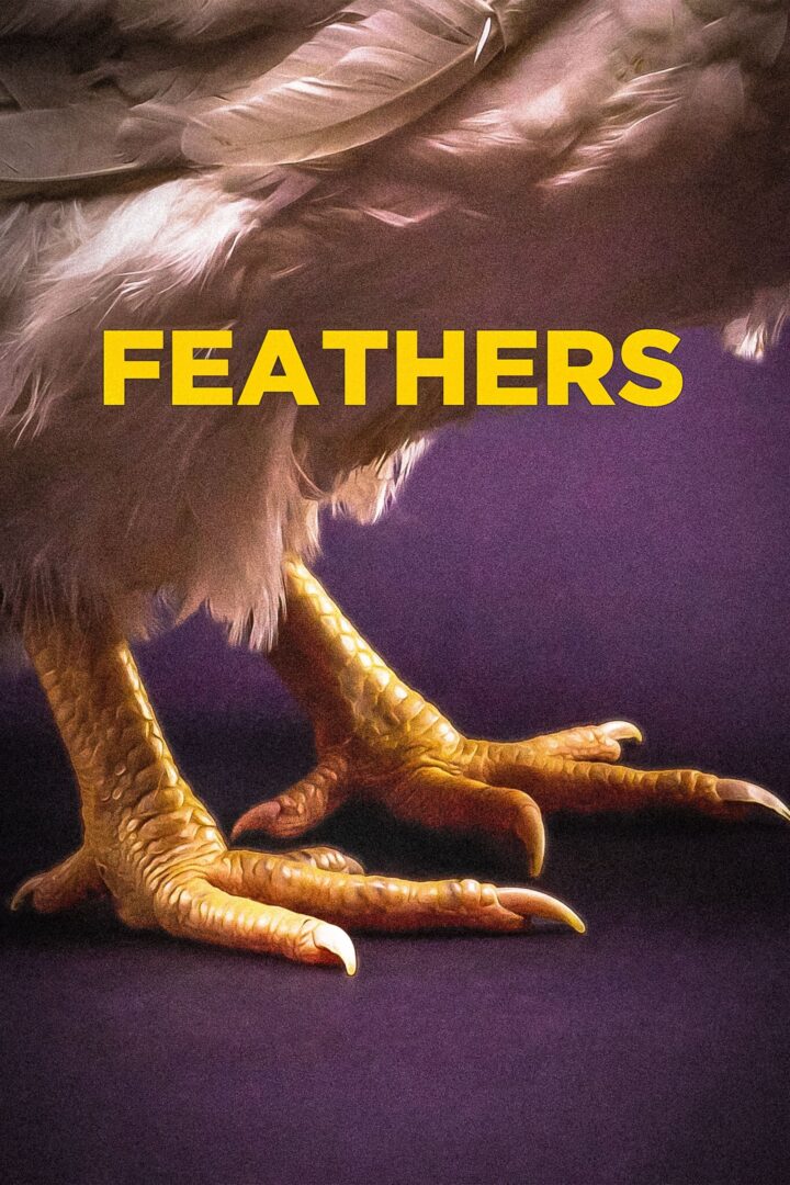 دانلود فیلم Feathers 2021 بدون سانسور با پخش آنلاین دانلود فیلم Feathers 2021 بدون سانسور با پخش آنلاین