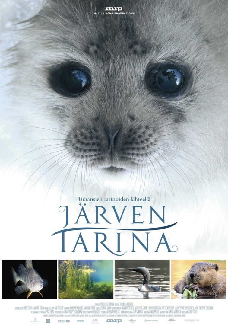 دانلود فیلم Tale of a Lake 2016 بدون سانسور با پخش آنلاین