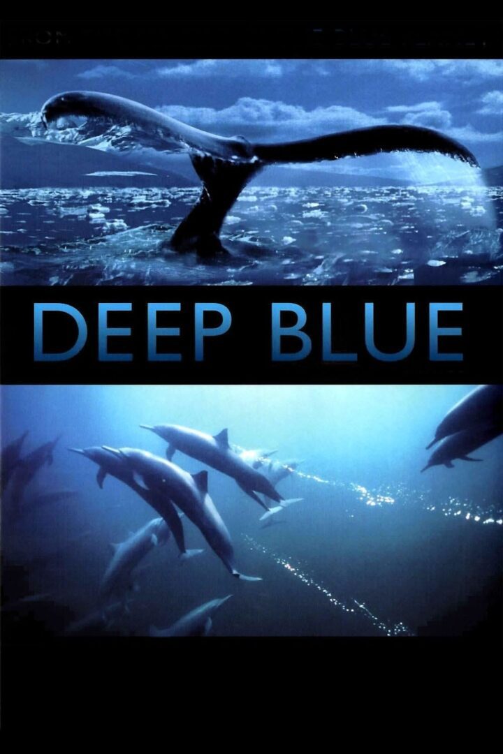 دانلود فیلم Deep Blue 2003 بدون سانسور با پخش آنلاین دانلود فیلم Deep Blue 2003 بدون سانسور با پخش آنلاین