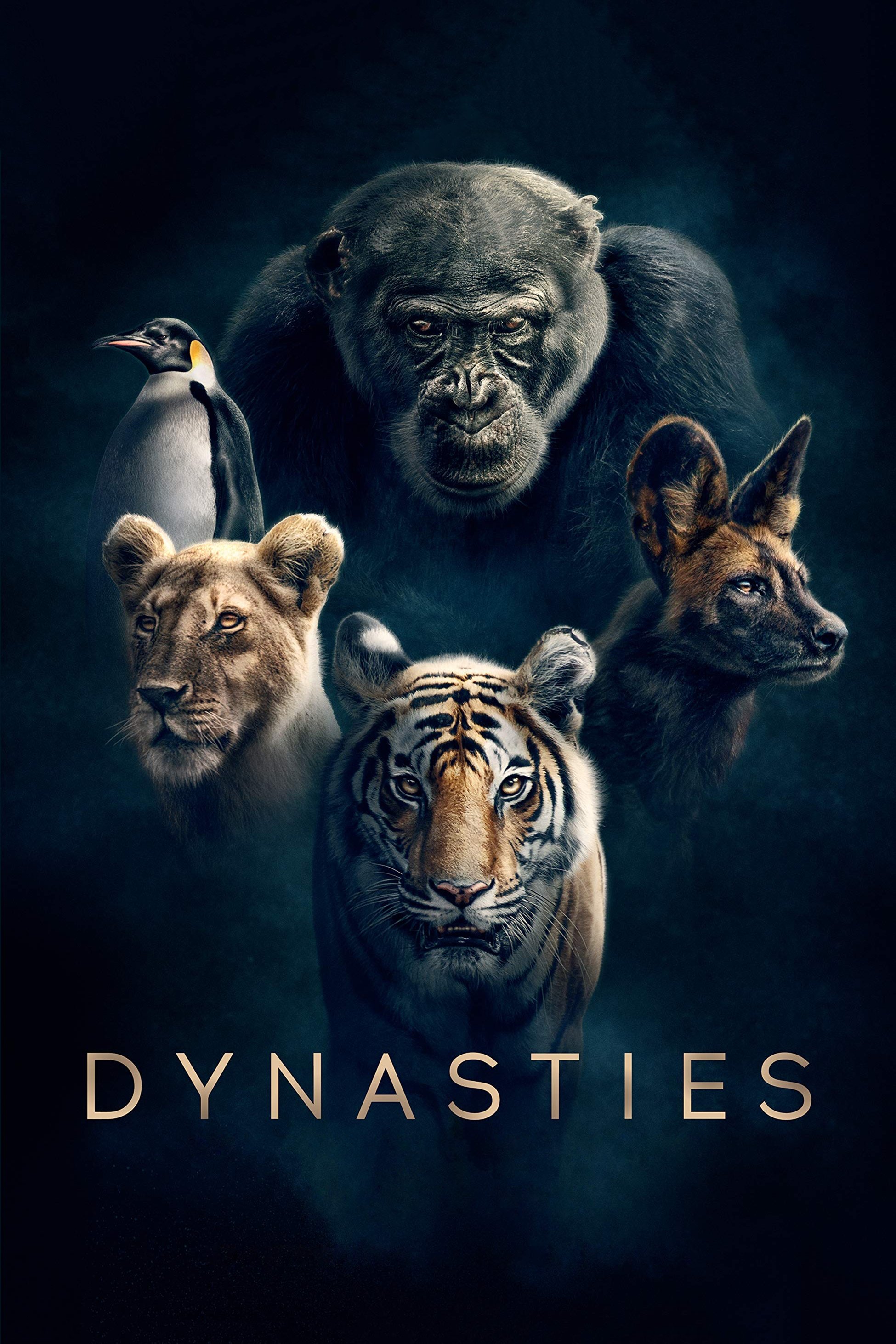 دانلود سریال Dynasties بدون سانسور