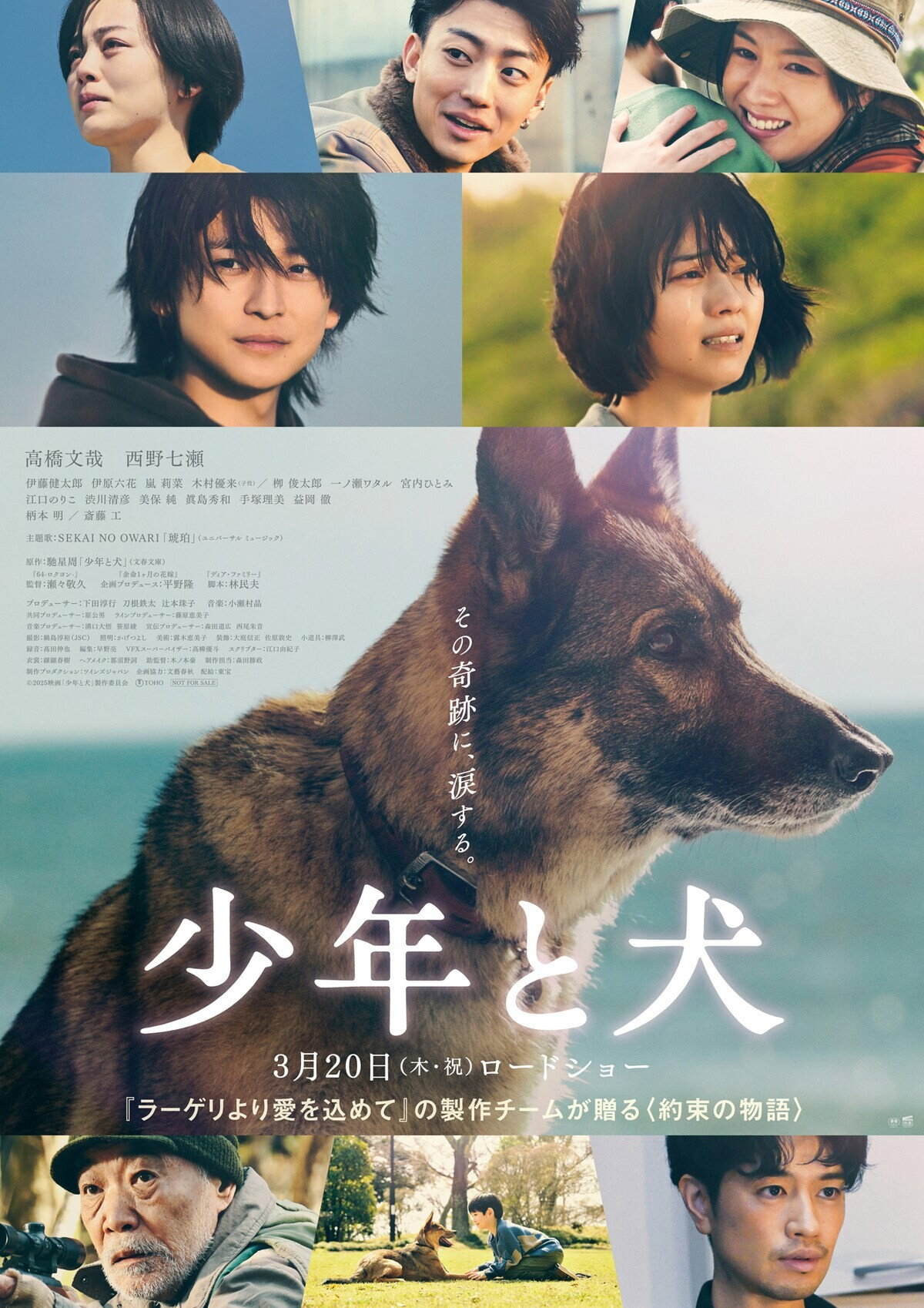 دانلود فیلم The Boy and the Dog 2025 بدون سانسور دانلود فیلم The Boy and the Dog 2025 بدون سانسور